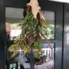 WhatsApp Image 2025-11-12 at 06.24.30-2 Herfst/Kersttoef: Op Aanvraag (Vanaf €25,00)
