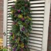 WhatsApp Image 2025-11-12 at 06.24.30-5 Herfst/Kersttoef: Op Aanvraag (Vanaf €25,00)