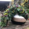 WhatsApp Image 2025-11-12 at 06.24.30-7 Herfst/Kersttoef: Op Aanvraag (Vanaf €25,00)